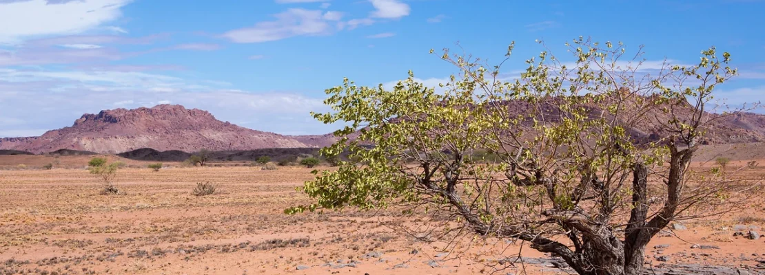 Twyfelfontein, Namibie