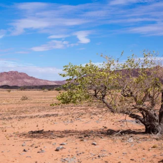 Twyfelfontein, Namibie