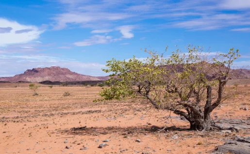 Twyfelfontein, Namibie