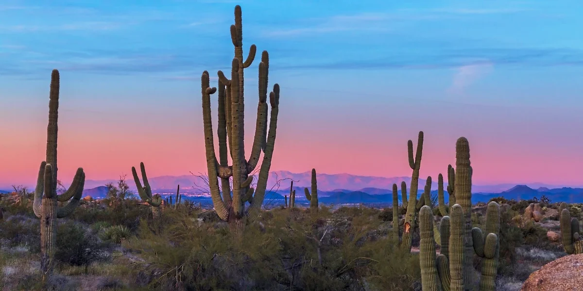 Phoenix, Arizona, Etats Unis