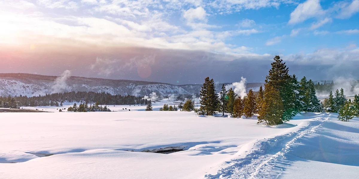 Yellowstone, Wyoming, USA