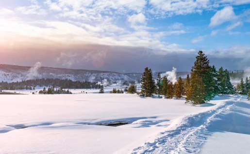 Yellowstone, Wyoming, USA