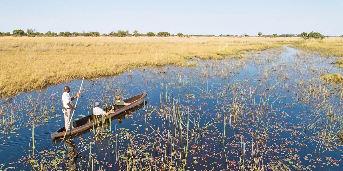 Balade en Mekoro, Botswana