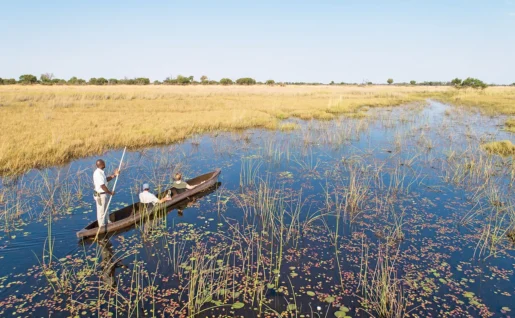 Balade en Mekoro, Botswana