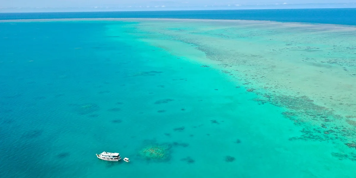 Grande Barrière de Corail, Michaelmas Cay Queensland
