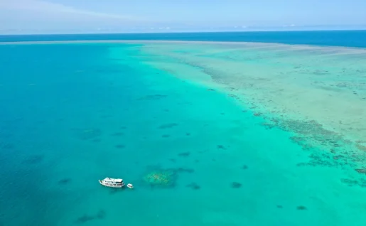 Grande Barrière de Corail, Michaelmas Cay Queensland