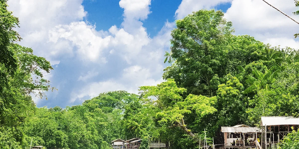Fleuve Amazone, Amazonie, Brésil