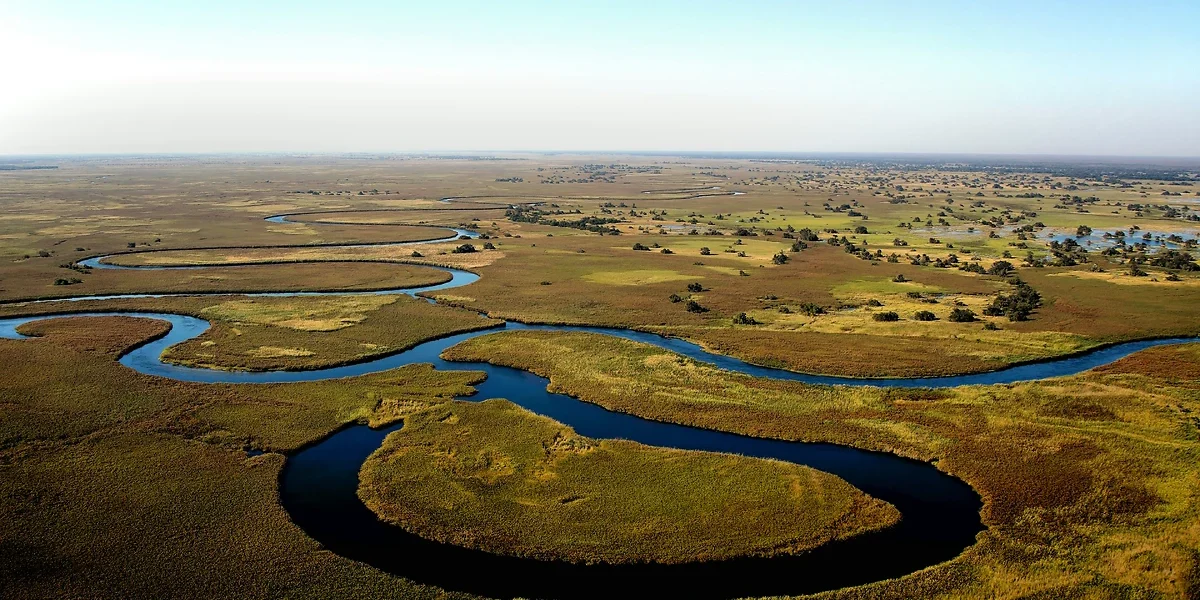 Delta de l'Okavango