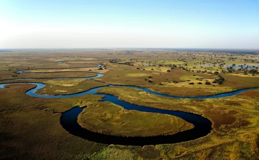 Delta de l'Okavango
