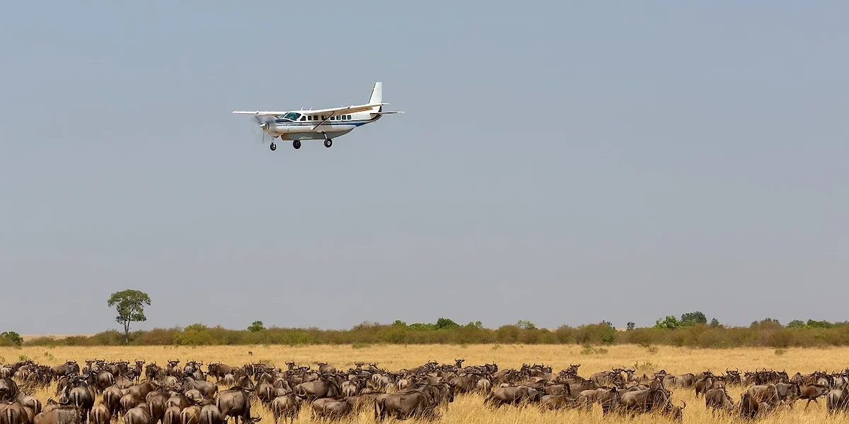 Fly-in safari, Réserve de Samburu, Kenya