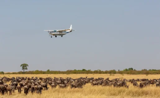 Fly-in safari, Réserve de Samburu, Kenya