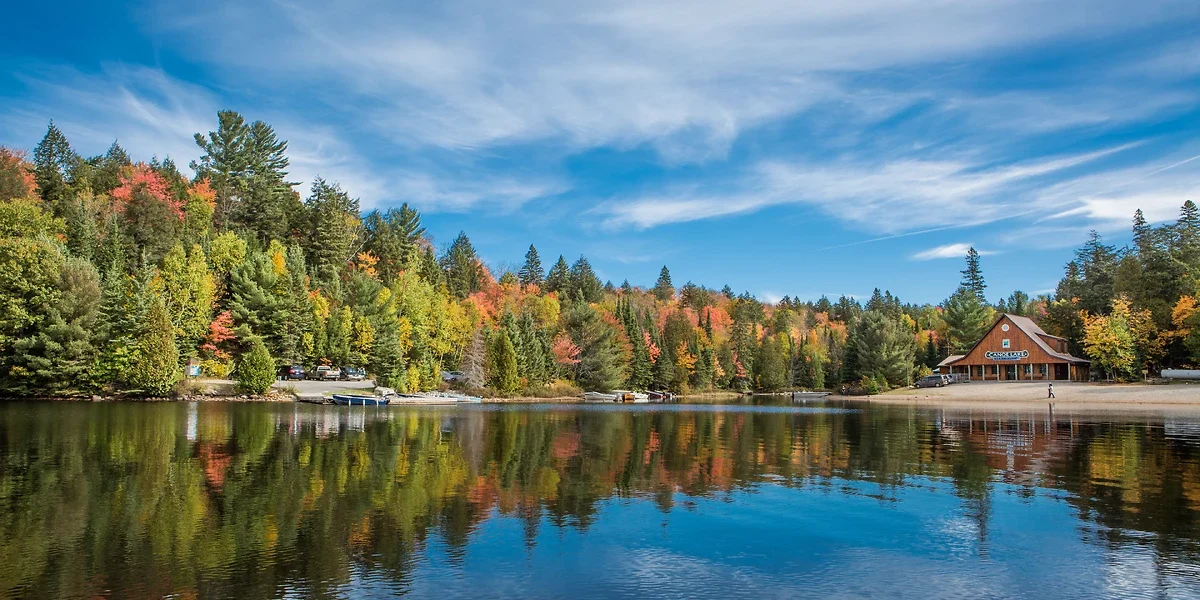 Parc provincial d' Algonquin, Ontario, Canada