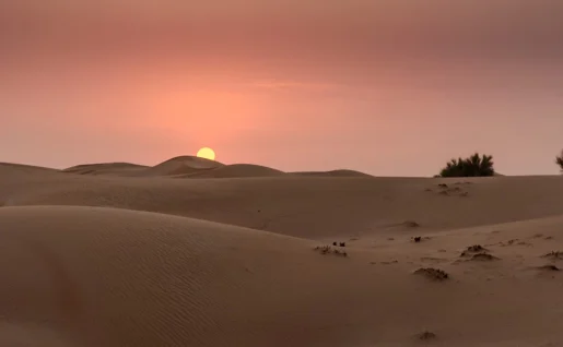Dubaï, Désert, coucher de soleil