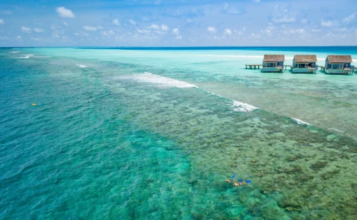 Plongée, Kuramathi Maldives, atoll de Rasdhoo, Maldives