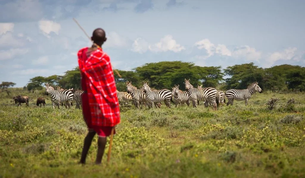 Masaï et zèbres, Maji Moto, Kenya