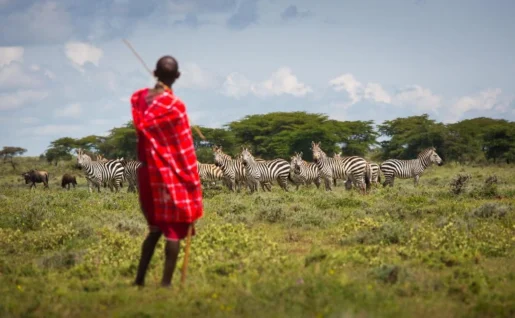 Masaï et zèbres, Maji Moto, Kenya