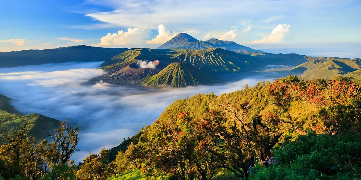 Volcan Bromo, Parc National Tengger Semeru, Java, Indonésie