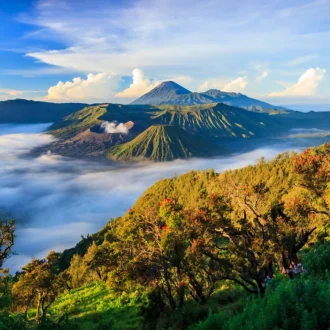 Volcan Bromo, Parc National Tengger Semeru, Java, Indonésie