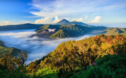 Volcan Bromo, Parc National Tengger Semeru, Java, Indonésie