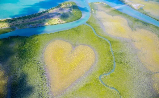 Coeur de Voh, Nouvelle-calédonie