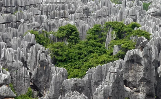 Forêt de pierres de Shilin, Kunming, Chine