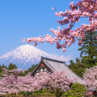Vue sur le mont Fuji, Fujinomiya, Shizuoka, Japon