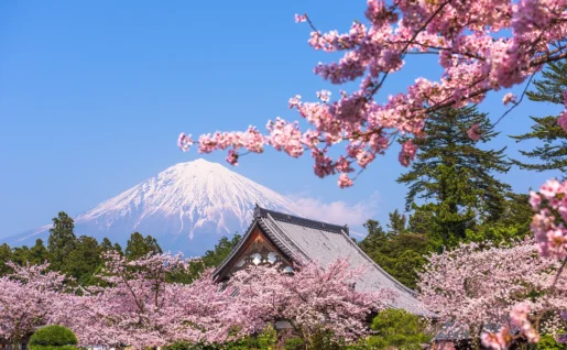 Vue sur le mont Fuji, Fujinomiya, Shizuoka, Japon