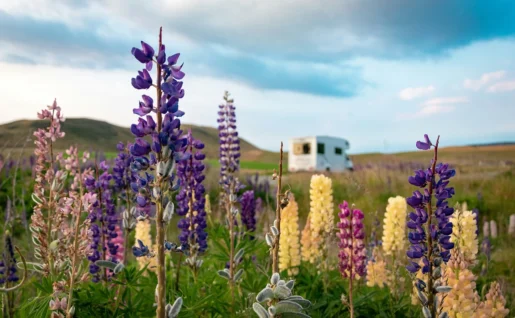 Camping car à Lac Tekapo