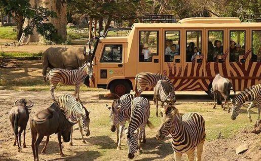 Bali safari marine Park, safari, Bali, Indonésie