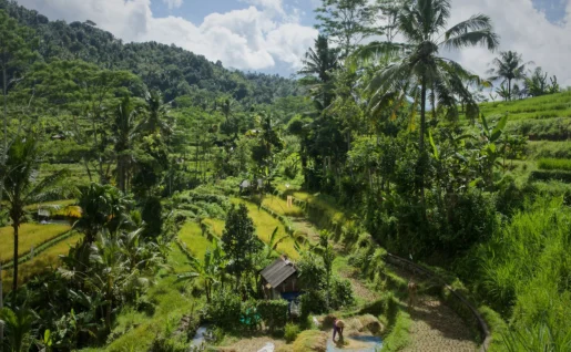 Sidemen, Bali, Indonésie