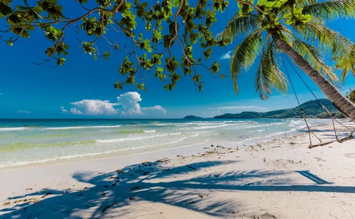Plage et palmier, Sao Beach, Phu Quoc, Vietnam