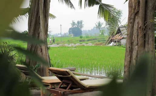 Umasari Rice Terrace Villa, Tabanan, Bali, Indonésie