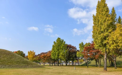 Parc Tumuli, Gyeongju, Corée du sud