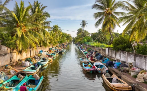 Bateaux colorés, Negombo, Sri Lanka.