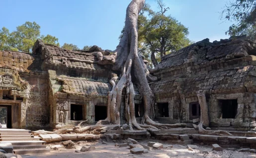 Ta Phrom, Siem Reap, Cambodge