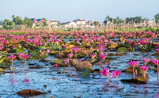 Lac Thale Noi, Thaîlande