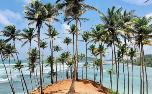 Coconut Tree Hill, Mirissa, Sri Lanka