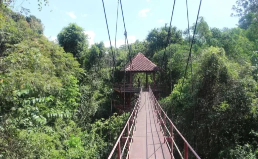 Jardin botanique de Thung Khai, Trang, Thaïlande