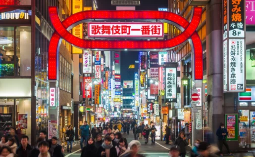 Néons, Shinjuku, Tokyo, Japon