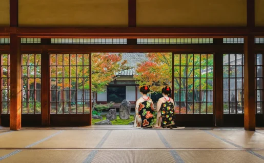 Geisha, Tokyo, Japon