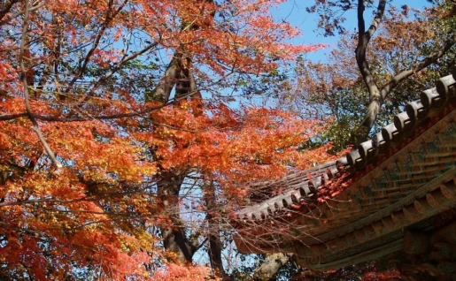 Temple Bulguksa, Gyeongju, Corée du sud