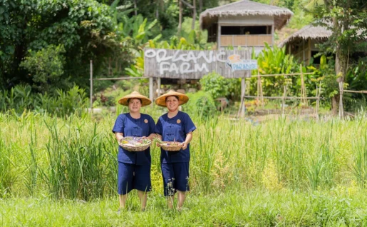 Paradise Kho Yao, ferme organique, Koh Yao Noi, Thaïlande