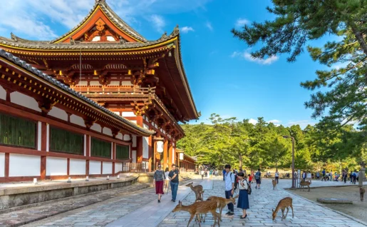 Parc de Nara, Japon
