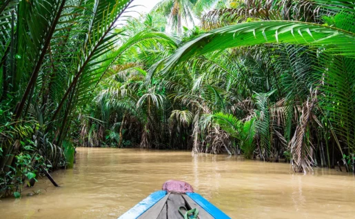 Sampan sur le Mékong, Ben Tre, Vietnam