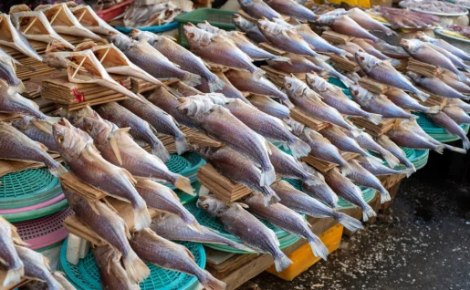 Poissons au marché de Jagalchi, Busan, Corée du Sud