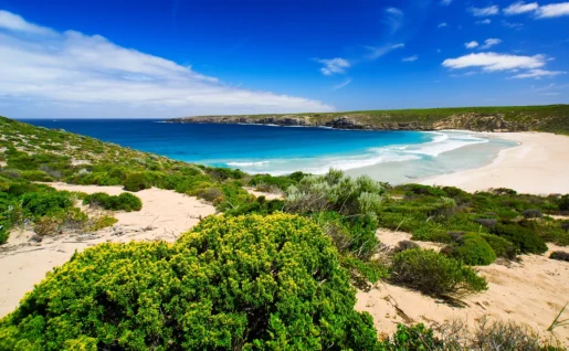 Plage de West Bay, Kangaroo Island, Australie