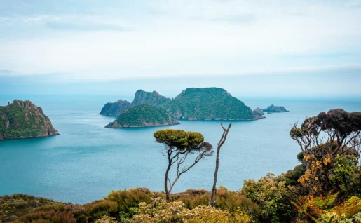 Île de Stewart, Nouvelle-Zélande