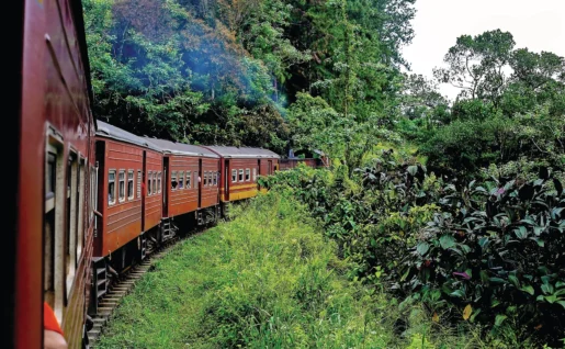 Train, Sri Lanka
