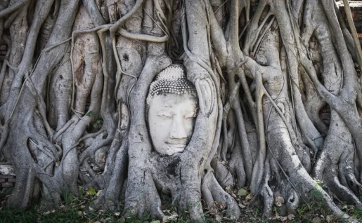 Ayutthaya, Thaïlande