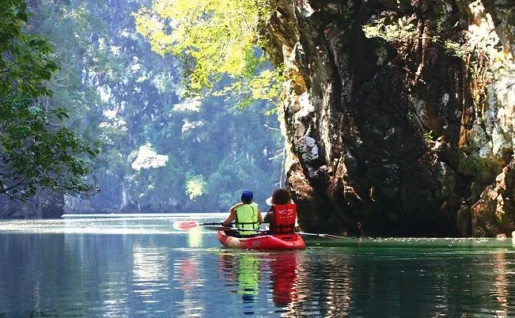 Ao Thalane, mangrove, Krabi, Thaïlande